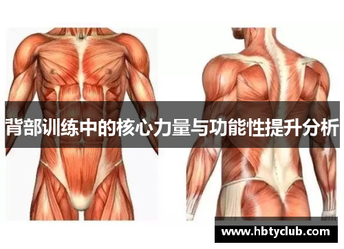 背部训练中的核心力量与功能性提升分析